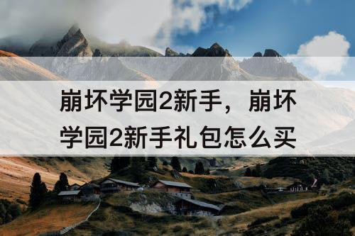 崩坏学园2新手，崩坏学园2新手礼包怎么买