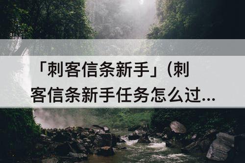 「刺客信条新手」(刺客信条新手任务怎么过)