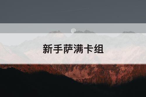 新手萨满卡组