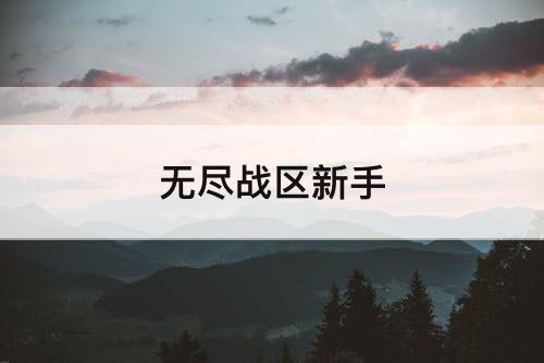 无尽战区新手