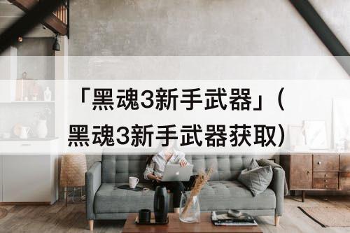 「黑魂3新手武器」(黑魂3新手武器获取)