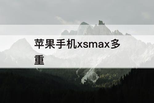 苹果手机xsmax多重