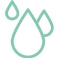 白露网app