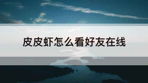 皮皮虾怎么看好友在线
