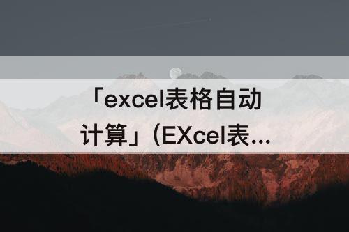 「excel表格自动计算」(EXcel表格自动计算公式怎么弄?)