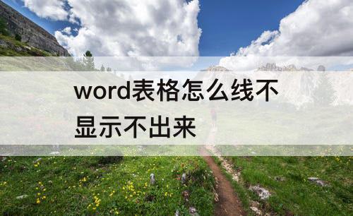 word表格怎么线不显示不出来