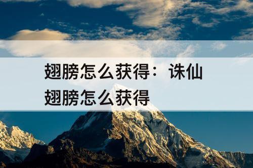 翅膀怎么获得：诛仙 翅膀怎么获得