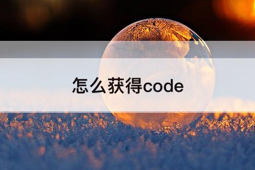 怎么获得code