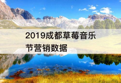 2019成都草莓音乐节营销数据