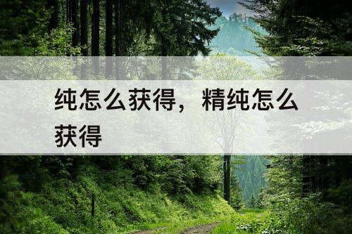 纯怎么获得，精纯怎么获得