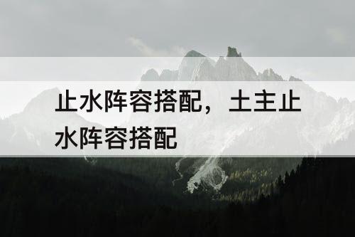 止水阵容搭配，土主止水阵容搭配