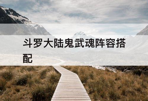 斗罗大陆鬼武魂阵容搭配