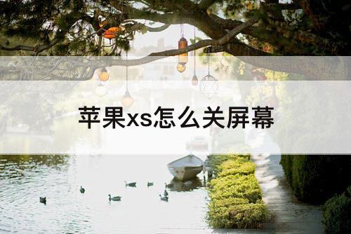 苹果xs怎么关屏幕