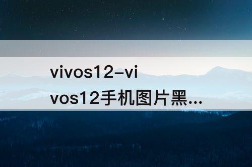 vivos12-vivos12手机图片黑色