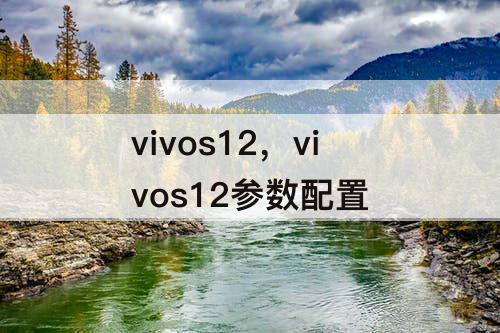 vivos12，vivos12参数配置