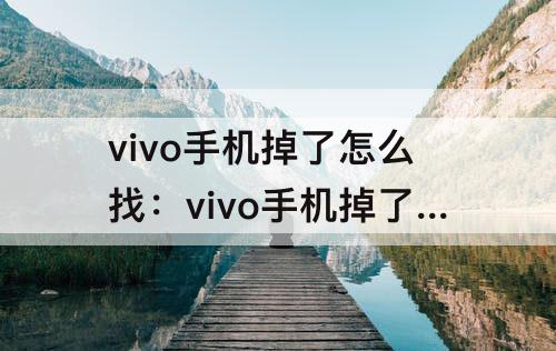vivo手机掉了怎么找：vivo手机掉了怎么找回