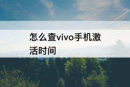 怎么查vivo手机激活时间
