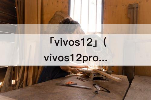 「vivos12」(vivos12pro屏幕多大)
