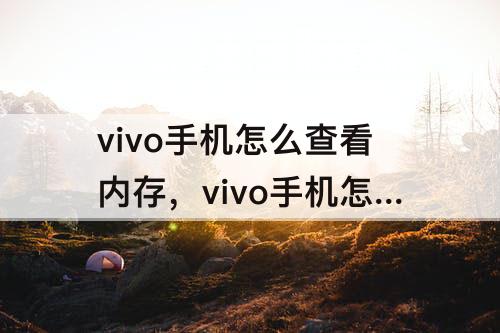 vivo手机怎么查看内存，vivo手机怎么查看内存卡内容