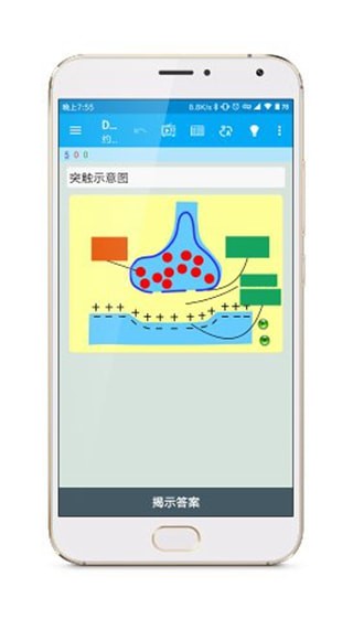 Anki涂鸦制卡app