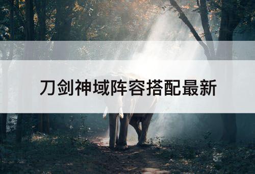 刀剑神域阵容搭配最新