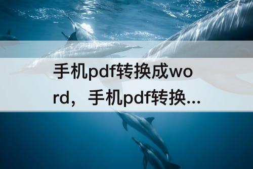 手机pdf转换成word，手机pdf转换成word软件