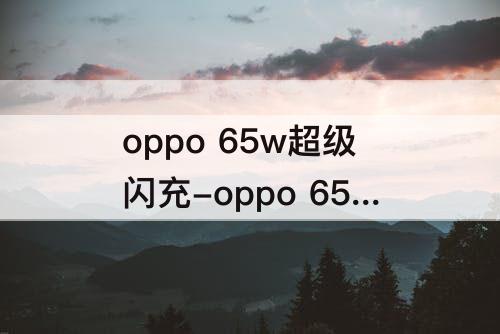 oppo 65w超级闪充-oppo 65w超级闪充 高仿 假 自动断电