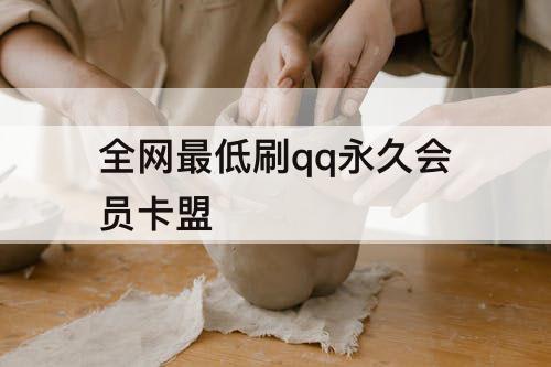 全网最低刷qq永久会员卡盟