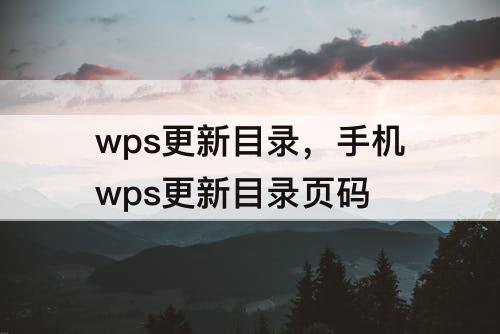 wps更新目录，手机wps更新目录页码