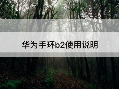 华为手环b2使用说明