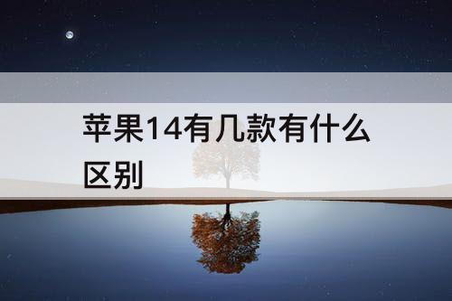 苹果14有几款有什么区别