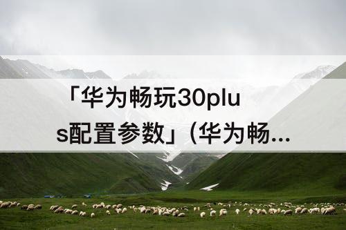 「华为畅玩30plus配置参数」(华为畅玩30plus配置参数钱)