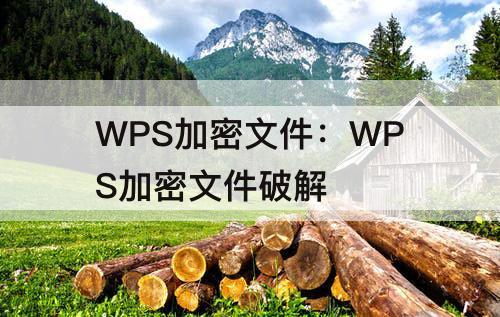 WPS加密文件：WPS加密文件破解