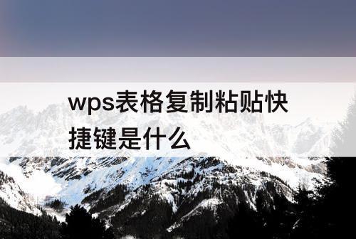 wps表格复制粘贴快捷键是什么