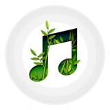 我的放松音乐最新版下载安装苹果