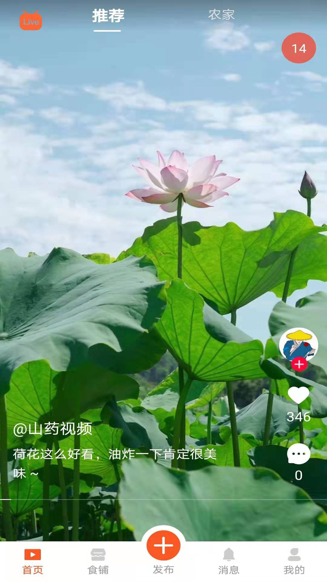 食客江湖软件下载截图
