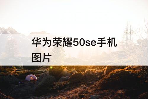 华为荣耀50se手机图片