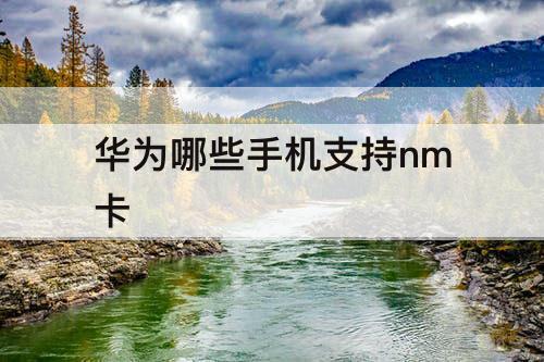 华为哪些手机支持nm卡