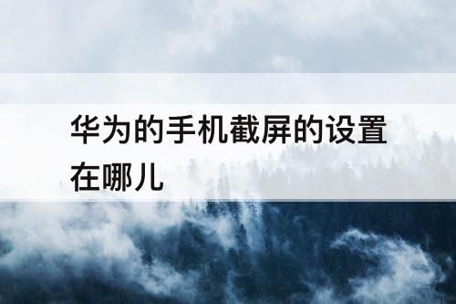 华为的手机截屏的设置在哪儿