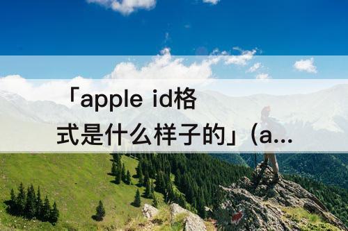 「apple id格式是什么样子的」(apple id格式是什么样子的qq)