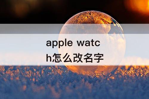 apple watch怎么改名字