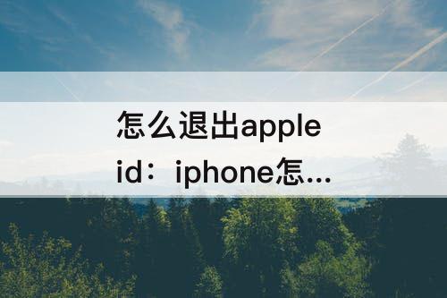怎么退出apple id：iphone怎么退出apple ID