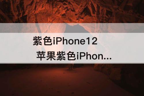 紫色iPhone12 苹果紫色iPhone12图片
