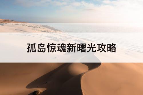 孤岛惊魂新曙光攻略