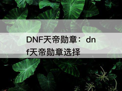 DNF天帝勋章：dnf天帝勋章选择
