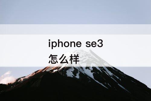 iphone se3怎么样