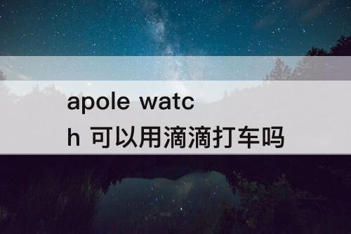 apole watch 可以用滴滴打车吗