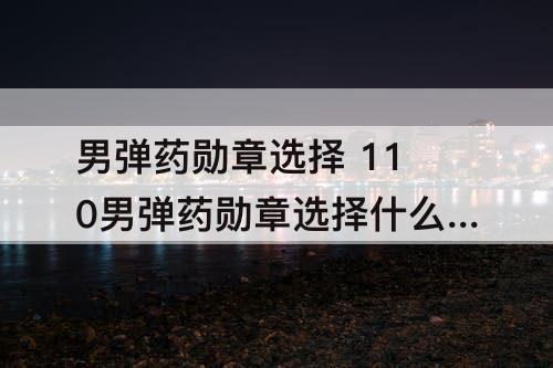 男弹药勋章选择 110男弹药勋章选择什么属性