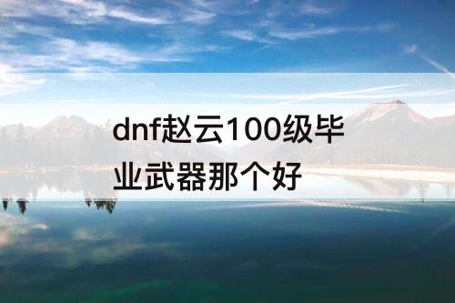 dnf赵云100级毕业武器那个好