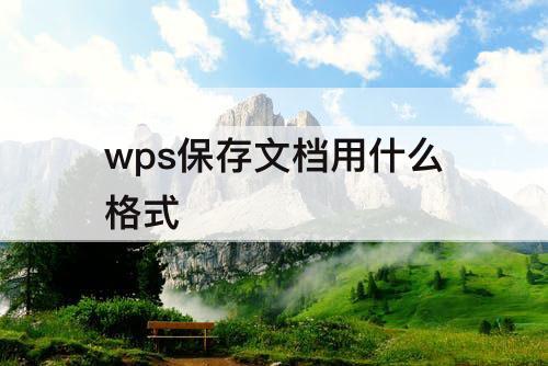 wps保存文档用什么格式